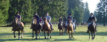 offre spciale pour groupes